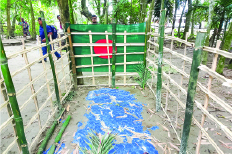 Image of মো. শাহিন মাহমুদ শেখ